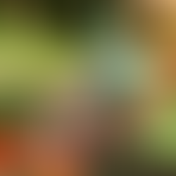 Why Gardening Is Good for Your Physical and Mental Health in Spring