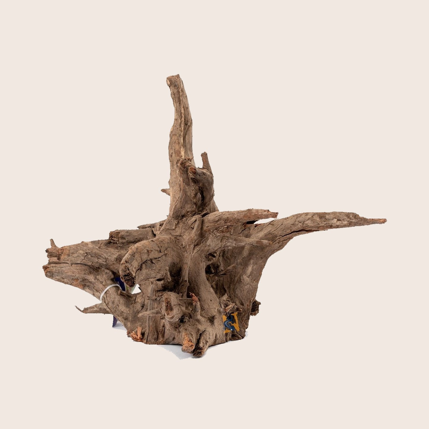 Aquaglobe Medium Saba Wood | Aquatic