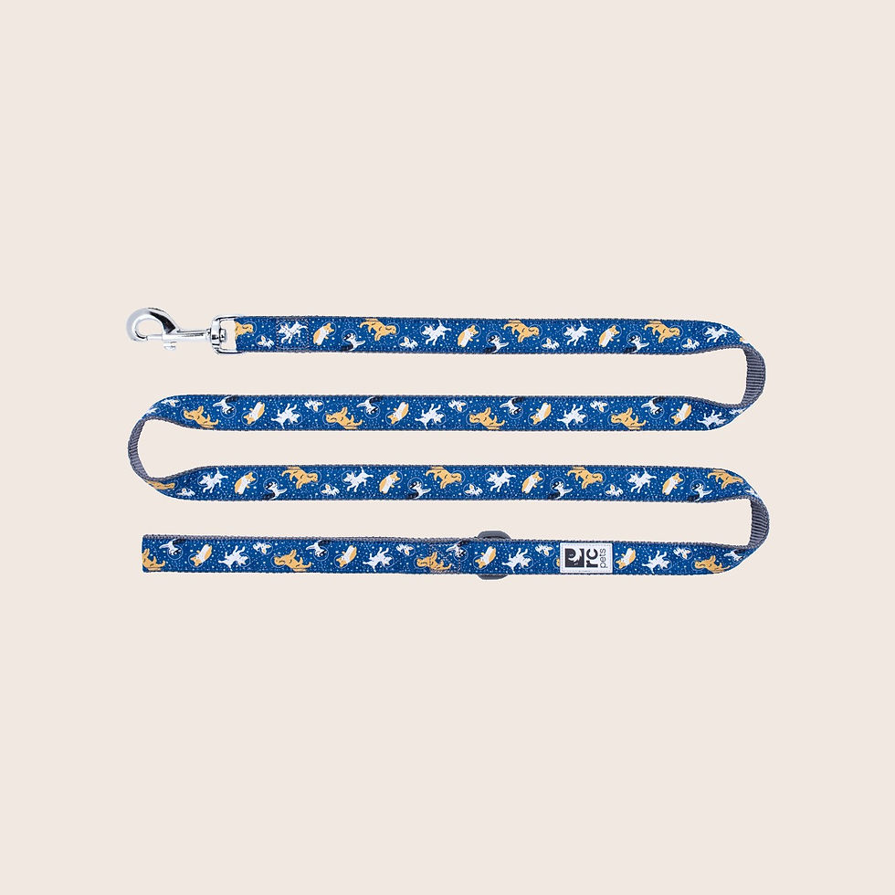 RC Pets Space Dogs Fashion Leash