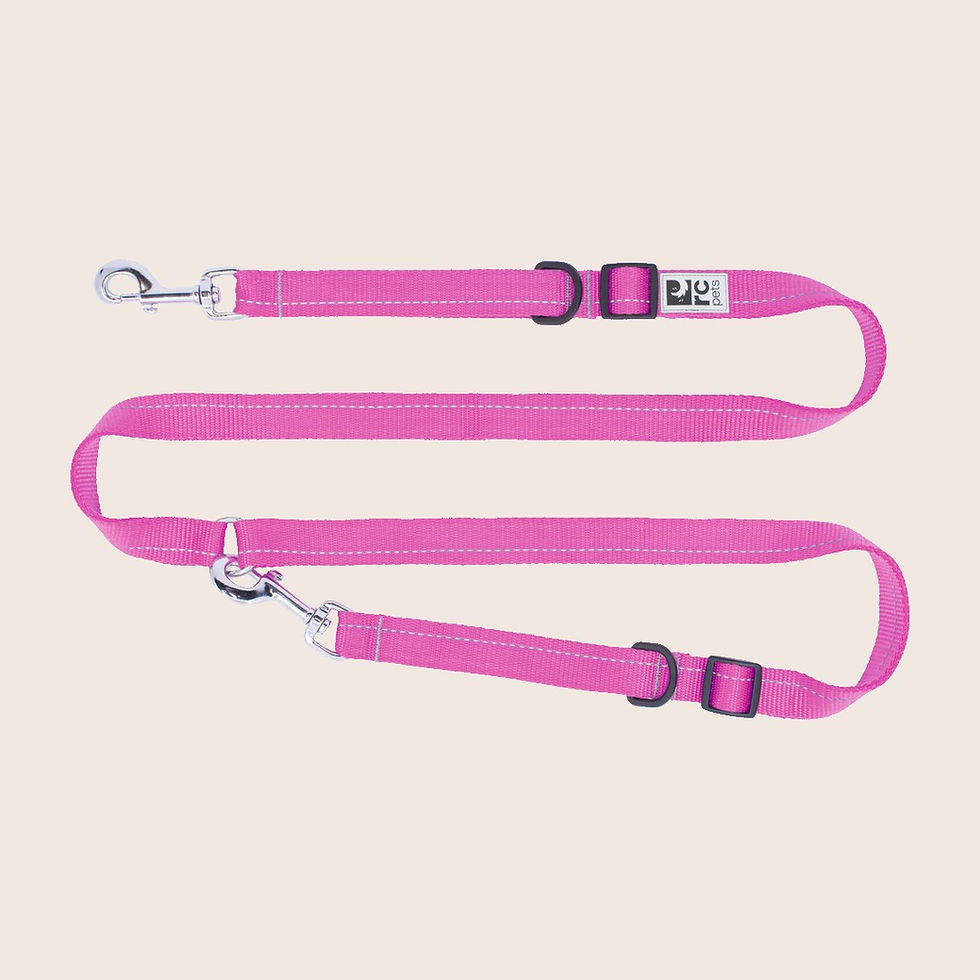 RC Pets Mulberry Primary Active Leash