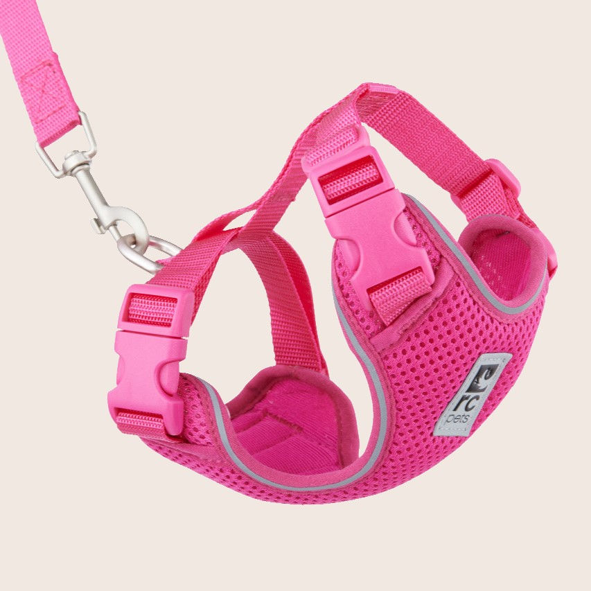RC Pets Raspberry Adventure Kitty Harness | Cat
