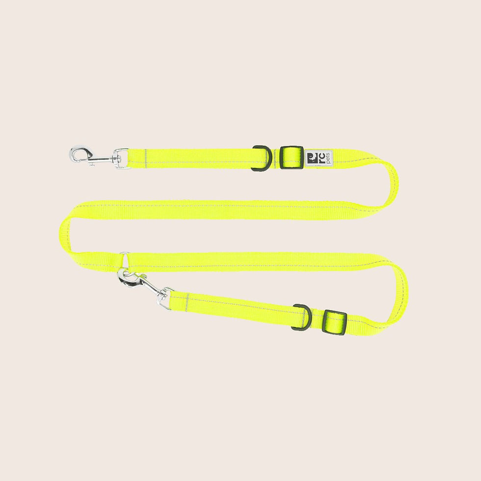 RC Pets Tennis Yellow Primary Active Leash