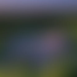 Cleveland's Summer Music Scene is in Full Swing! Check Out the All-Star Lineup Here, ONLY in the CLE!