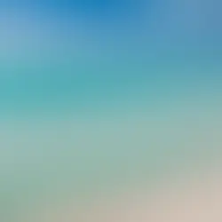 Siesta Key: Experience the Best Beach in the US Like Never Before!