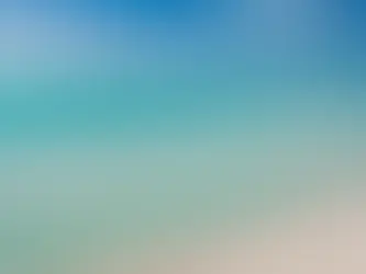 Siesta Key: Experience the Best Beach in the US Like Never Before!