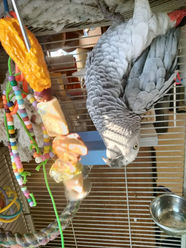 314649792_865470174454227_4401517879672876112_n - Copy.jpg