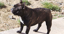 20150416_164917.JPG