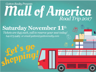 3rd Annual Mall of America Road Trip!