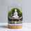 Thumbnail: Buddha Terrarium Kit