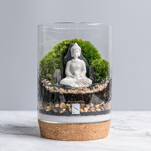 Buddha Terrarium Kit Earth & Water