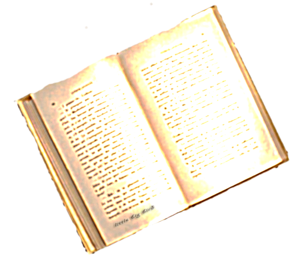 littlebigbirdbook.gif