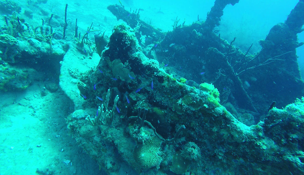 Awesome wreck dive_Moment(5).jpg