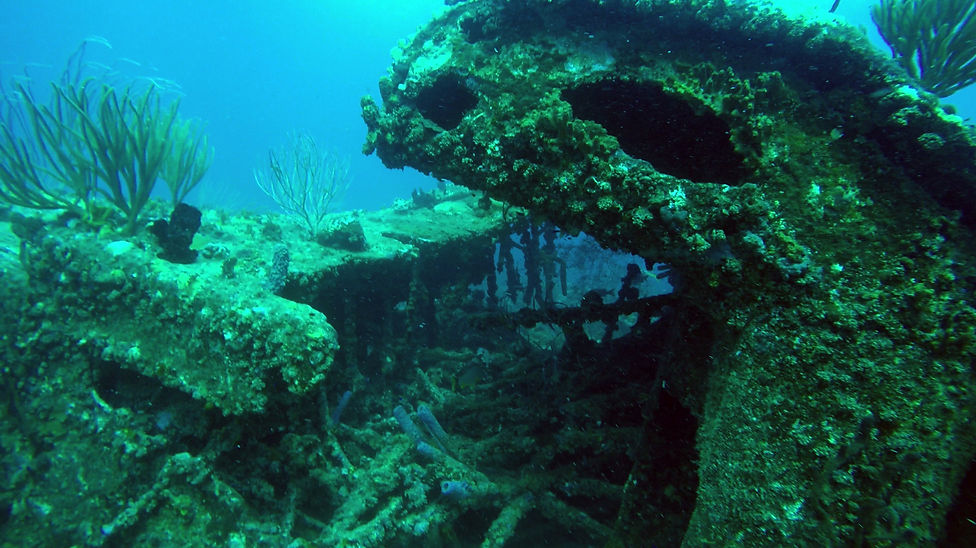 USS Rhone wreckage 2019.jpg