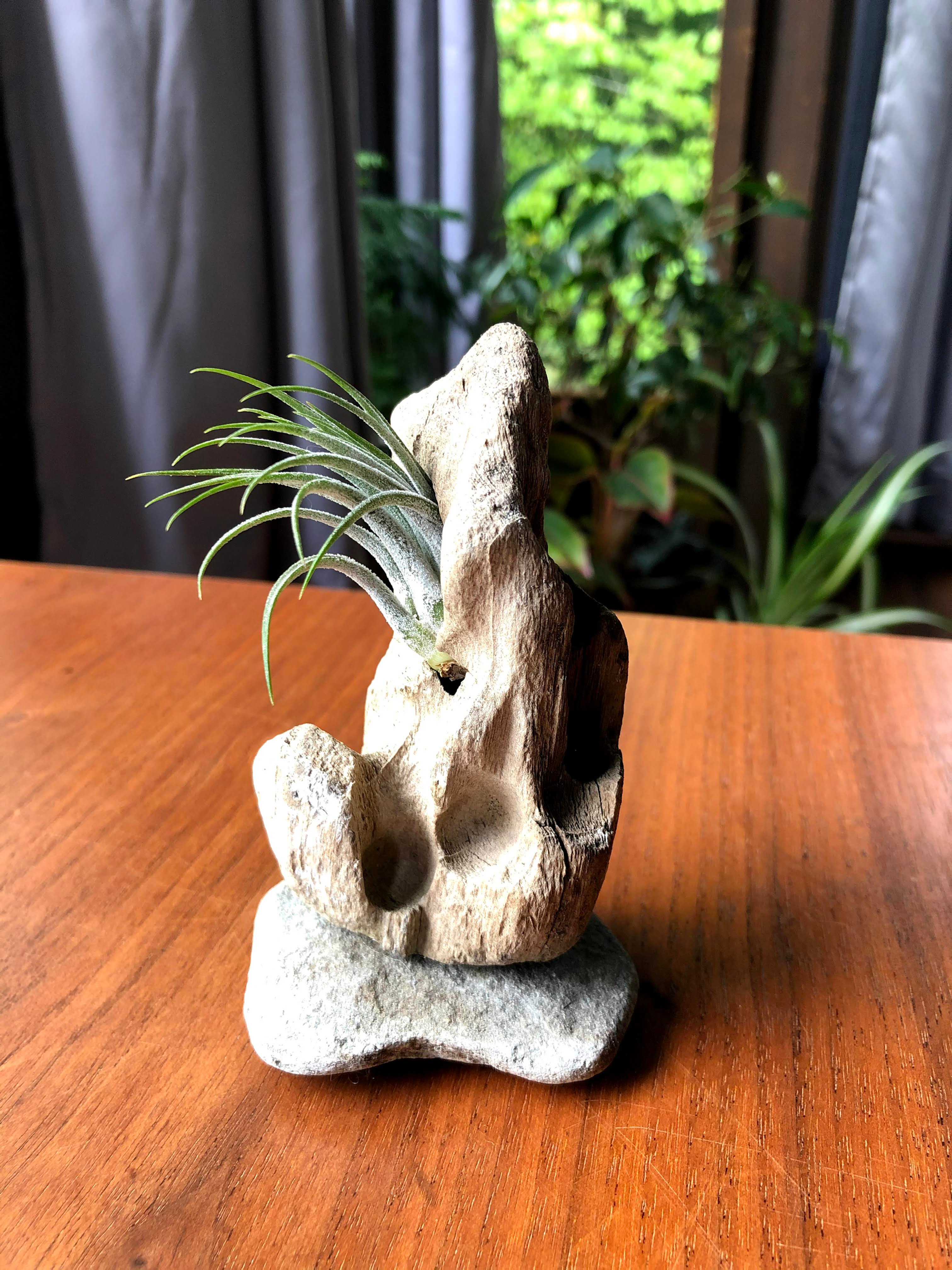 Henry is living art to keep you company at work