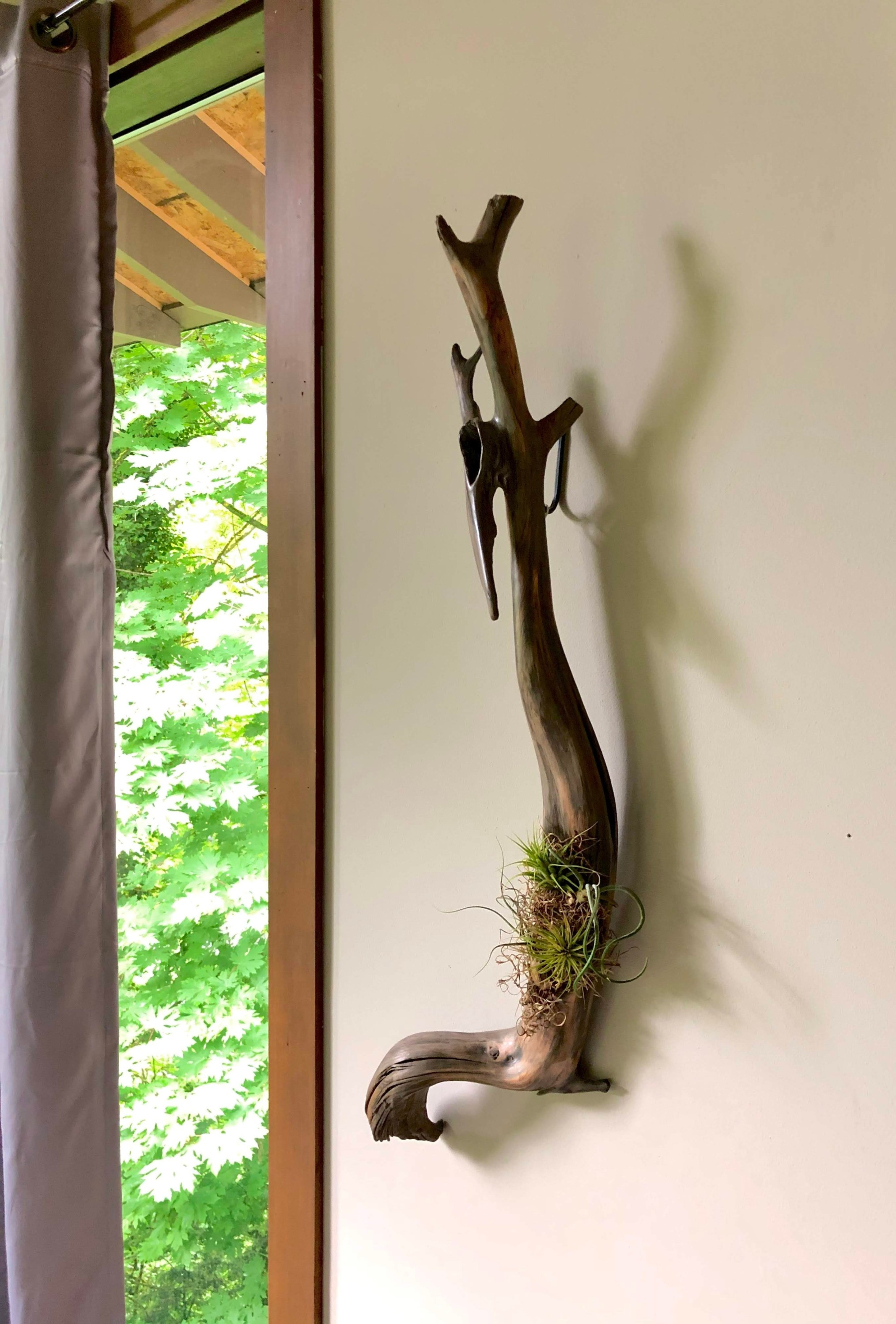 Trailhawk: Driftwood living wall art