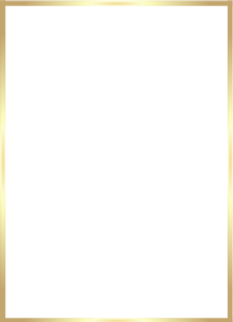 gold-foil-box-vertical-small-thin-border.png