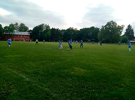 поле 3 (1).JPG