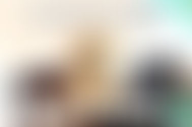 How to be more organised as a Virtual Assistant or a Freelancer