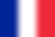 Flag_of_France.svg.png