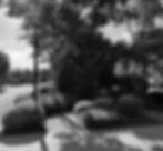 IMG_1778.jpeg