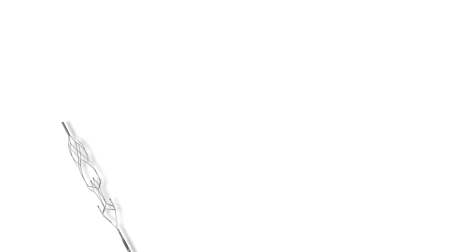 Vesalio-NeVa-product-2021-2.gif