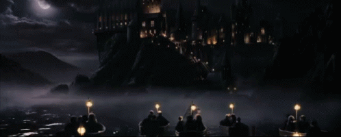 entering-boat.gif