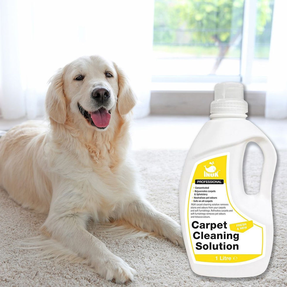 Thumbnail: Carpet Cleaner