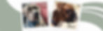 Waggs Banner 2.jpg