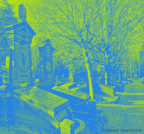 Le vieux cimetière de Ganshoren - cimetière.jpg