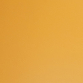 Guillermo Pizzuto McGee