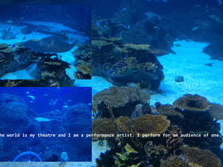 Why Low-Brow Collectors / 'Experts' Don't Matter