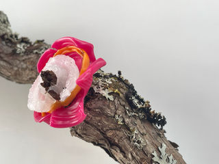 Pauline Galiana V. 2