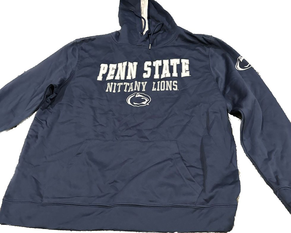 Thumbnail: Penn State Nittany Lions Colosseum Sunrise Pullover Hoodie - Navy