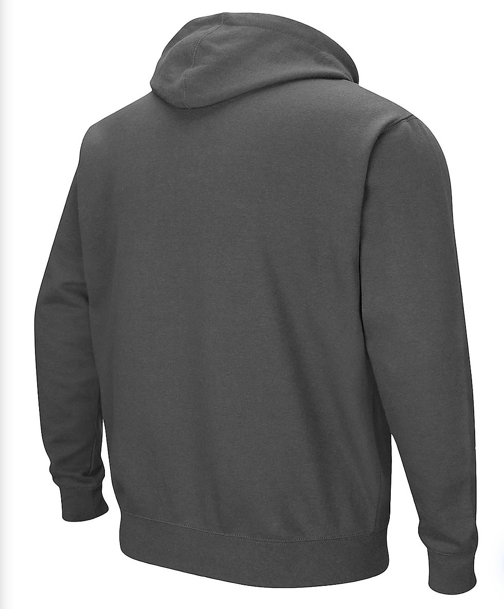 Thumbnail: Colosseum Charcoal Temple Owls Arch and Logo Pullover Hoodie