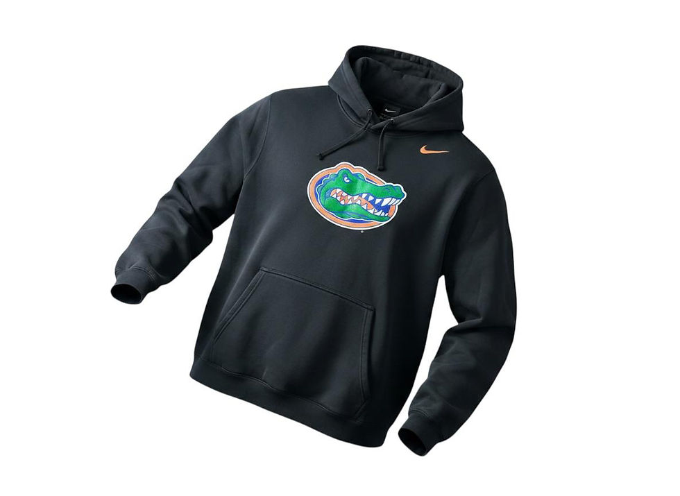 Thumbnail: Men's Black Florida Gators Performance Pullover Hoodie