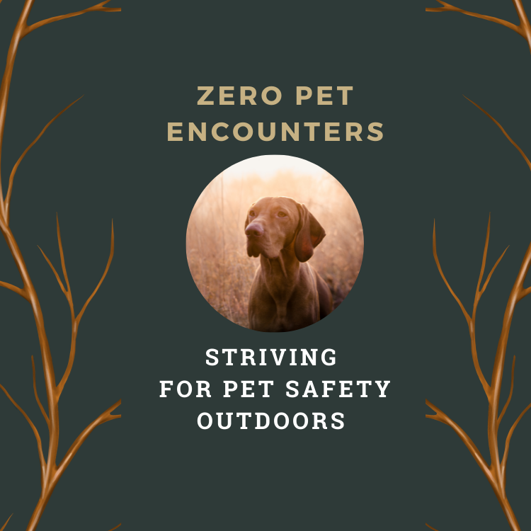 zero pet encounters-3.png