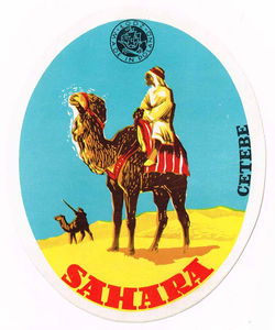 CETEBE 88 Sahara m
