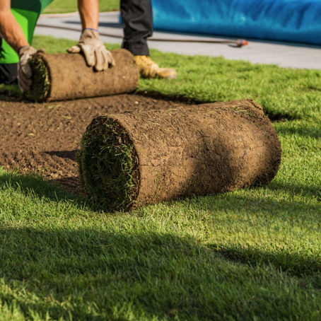 🌱 Oferta de Trabajo en Estados Unidos – Trabajadores de Jardinería y Paisajismo 🌱