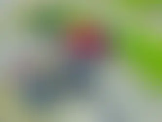 Link-Belt Introduces 248|V Next-Generation 200-Ton Crawler Crane