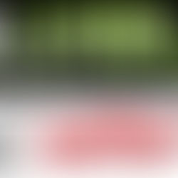 Luibl Acquires Uplifter and Restructures Business Under New Group