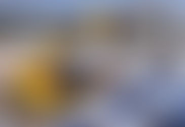 Rocket Rentals Expands Fleet with 55 JCB Machines, Adding Compact Telehandlers