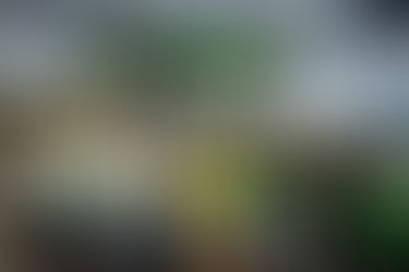 Omega Morgan Expands Seattle Presence Through Acquisition of Omega Riggers