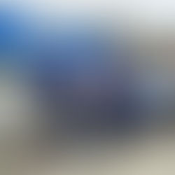 P. Adams Heavy Transport Takes Delivery of New BladeMAX1000 from Cometto