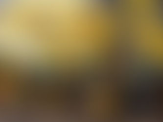 Scott’s Hire JCB Telehandlers Order Expands UK Rental Fleet