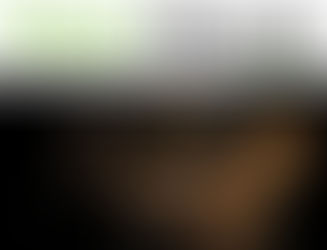 Point of Rental Acquires Rental Data Platform The Owl