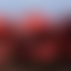 O’Carroll Takes Delivery of Ireland’s First Liebherr LTM 1300-6.4