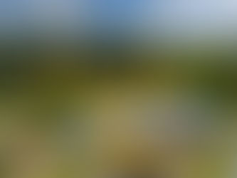 Tandem Lift Places Airbus A310 at Serengeti Park