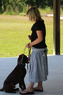 18920973_1412349012177491_106936595658129375_o