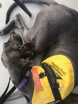 21106515_1471769102910091_6988044169698631568_n