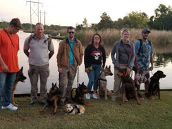 22281090_1687900274577119_890449401_o